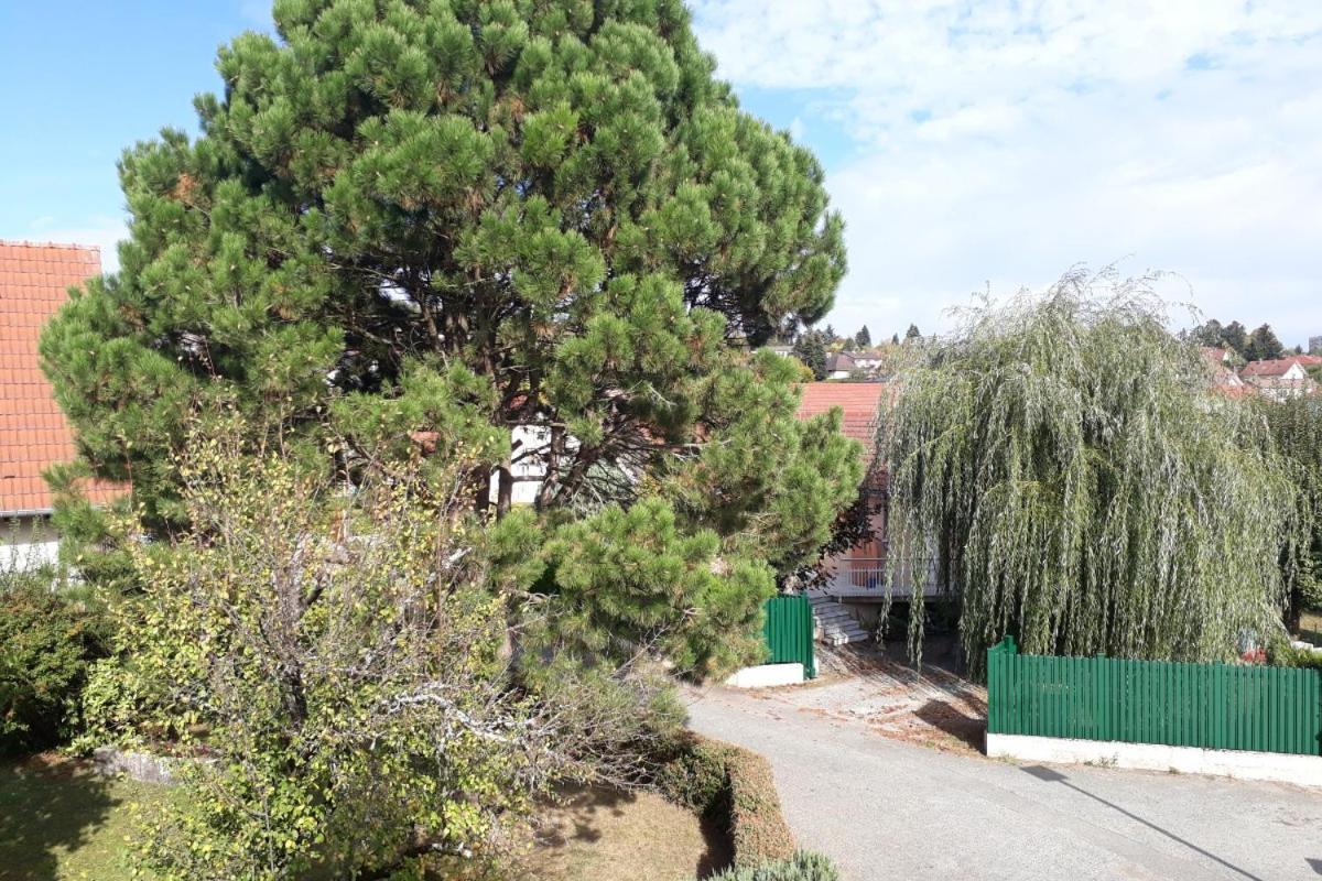 Appartement Independant A Proximite De Belfort Essert Luaran gambar
